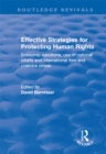 Effective Strategies for Protecting Human Rights : Economic Sanctions, Use of National Courts and International fora and Coercive Power - eBook