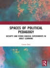 Spaces of Political Pedagogy : Occupy! and other radical experiments in adult learning - eBook