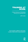 Training at Work : Critical Analysis of Workplace Training and Development - eBook