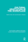 Cultural Adaptation in the Workplace - eBook