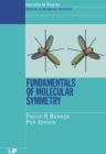 Fundamentals of Molecular Symmetry - eBook