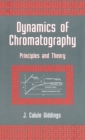 Dynamics of Chromatography : Principles and Theory - eBook