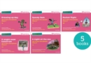 Read Write Inc. Phonics: Pink Set 3 More Storybooks (Mixed Pack of 5) - Book