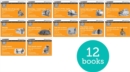 Read Write Inc. Phonics: Orange Set 4 More Black & White Storybooks (Pack of 12) - Book