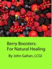 Berry Boosters:  For Natural Healing - eBook