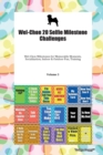 Wel-Chon 20 Selfie Milestone Challenges Wel-Chon Milestones for Memorable Moments, Socialization, Indoor & Outdoor Fun, Training Volume 3 - Book