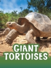 Giant Tortoises - Book