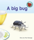 A big bug - eBook