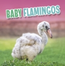 Baby Flamingos - Book