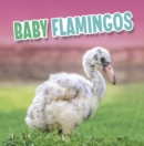 Baby Flamingos - eBook