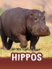 Hippos - Book