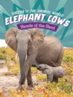 Elephant Cows : Heads of the Herd - Book