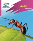 Reading Planet: Rocket Phonics - Target Practice - Ants! - Pink A - Book
