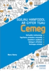 Sgiliau Hanfodol ar gyfer TGAU Cemeg (Essential Skills for GCSE Chemistry: Welsh-language edition) - Book