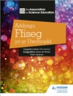 Addysgu Ffiseg yn yr Uwchradd (Teaching Secondary Physics 3rd Edition Welsh Language edition) - eBook