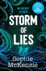 Storm of Lies - eBook