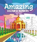 Amazing Colour by Numbers - Book