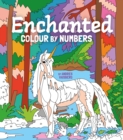 Enchanted Colour by Numbers : Includes 45 Artworks To Colour - Book