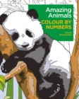 Amazing Animals Colour by Numbers - Book