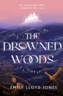 The Drowned Woods : The Sunday Times bestselling and darkly gripping YA fantasy heist novel - eBook