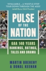 Pulse of the Nation : GAA 140 Years - Rankings, Ratings, Tales and Drama - Book