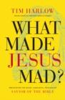 What Made Jesus Mad? : Rediscover the Blunt, Sarcastic, Passionate Savior of the Bible - Book