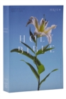 NRSV Catholic Edition Bible, Easter Lily Paperback (Global Cover Series) : Holy Bible - Book