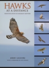 Hawks at a Distance : Identification of Migrant Raptors - eBook