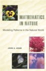 Mathematics in Nature : Modeling Patterns in the Natural World - eBook