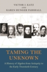 Taming the Unknown : A History of Algebra from Antiquity to the Early Twentieth Century - eBook