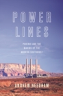 Power Lines : Phoenix and the Making of the Modern Southwest - eBook