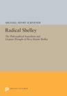 Radical Shelley : The Philosophical Anarchism and Utopian Thought of Percy Bysshe Shelley - eBook