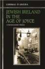 Jewish Ireland in the Age of Joyce : A Socioeconomic History - eBook