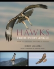 Hawks from Every Angle : How to Identify Raptors In Flight - eBook