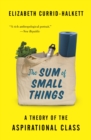 The Sum of Small Things : A Theory of the Aspirational Class - eBook