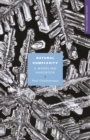 Natural Complexity : A Modeling Handbook - eBook