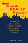 How Growth Really Happens : The Making of Economic Miracles through Production, Governance, and Skills - eBook