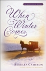 When Winter Comes - eBook