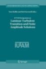 IUTAM Symposium on Laminar-Turbulent Transition and Finite Amplitude Solutions - eBook