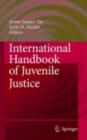 International Handbook of Juvenile Justice - eBook