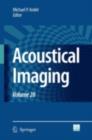 Acoustical Imaging : Volume 28 - eBook