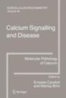 Calcium Signalling and Disease : Molecular pathology of calcium - eBook
