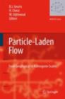 Particle-Laden Flow : From Geophysical to Kolmogorov Scales - eBook
