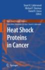 Heat Shock Proteins in Cancer - eBook