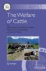 The Welfare of Cattle - eBook