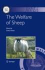 The Welfare of Sheep - eBook