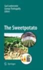 The Sweetpotato - eBook