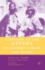 A History of The Gypsies of Eastern Europe and Russia - Book