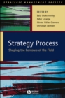 Strategy Process : Shaping the Contours of the Field - Book