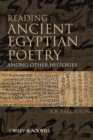 Reading Ancient Egyptian Poetry : Among Other Histories - Book